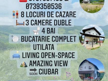 Margau House | Pensiunea K9