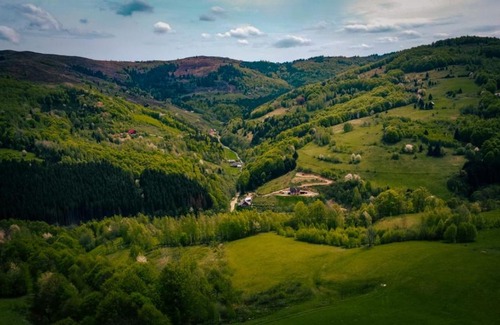 Margau House | Pensiunea K9