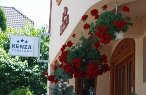 Tirgu Mures House | Pensiunea Kenza