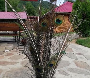 Bozovici House | PENSIUNEA LA BUSU -BIGAR