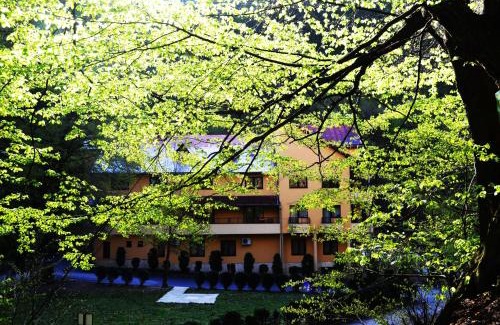 Baia Mare House | Pensiunea Magura