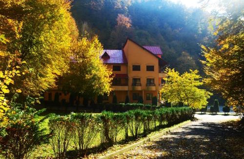 Baia Mare House | Pensiunea Magura