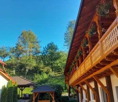 Birsana Cabin | Pensiunea Malinul