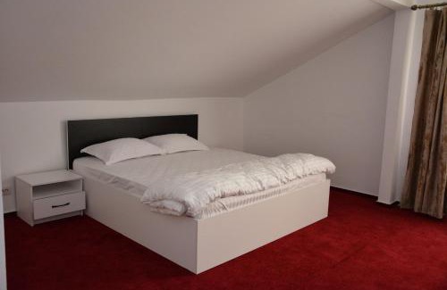 Mihaesti House | Pensiunea Maria Mihăești