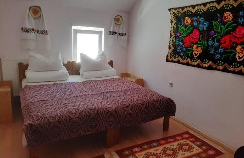 Sighetu Marmatiei House | Pensiunea Maria