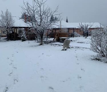 Pui House | Pensiunea Marmis