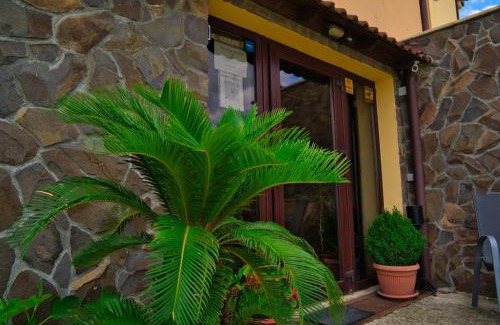 Baile Unu Mai House | Pensiunea Neredy