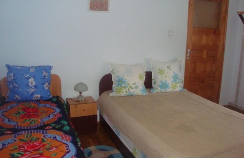 Oestii Paminteni House | Pensiunea Nicky