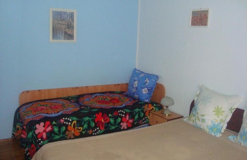 Oestii Paminteni House | Pensiunea Nicky