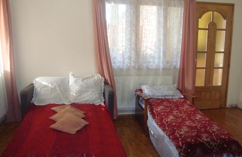 Oestii Paminteni House | Pensiunea Nicky
