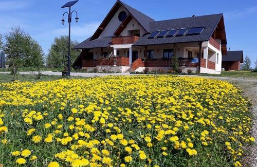 Partestii de Sus House | Pensiunea Obcina Mare