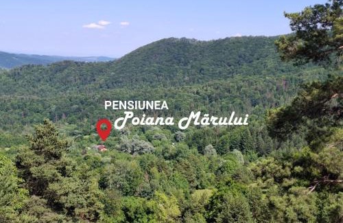 Bisoca House | Pensiunea Poiana Marului - Bisoca