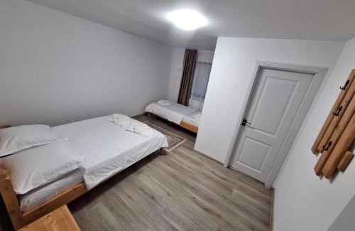 Dorna Candrenilor House | Pensiunea Poiana Munților