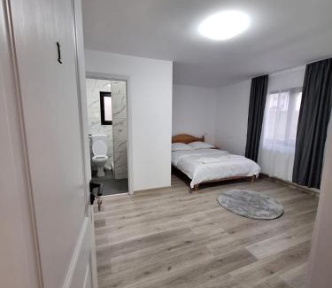Dorna Candrenilor House | Pensiunea Poiana Munților