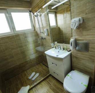 Rosiorii de Vede House | Pensiunea President City