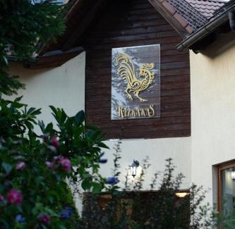 Baile Balvanyos House | Pensiunea Rezkakas