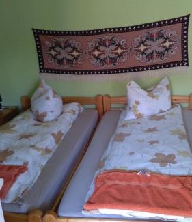 Sincraiu Apartment | Pensiunea Shalom