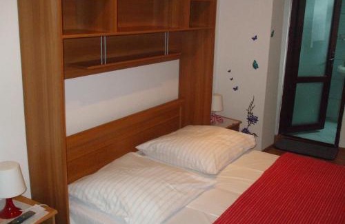 Baile Herculane House | Pensiunea Soimul
