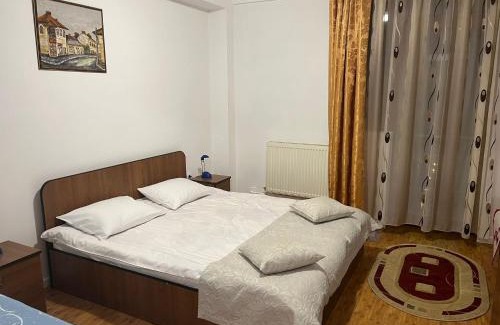 Fieni House | Pensiunea Soreanca
