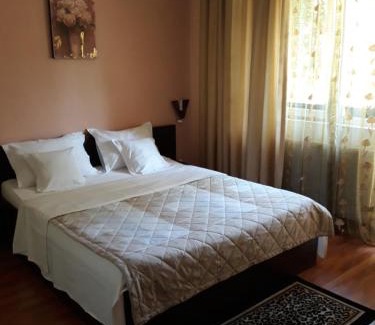 Timisoara House | Pensiunea Sydney