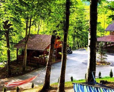 Auseu House | Pensiunea Valea Gepisului