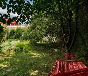 Hateg House | Pensiunea Vila Silva I