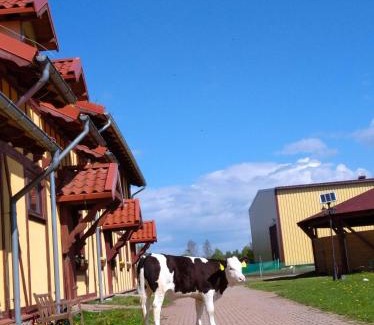 Przywidz House | Pensjonat Przy Stajni