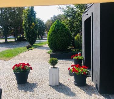Jelcz-Laskowice Bed & Breakfast | Pensjonat Trzy Stawy