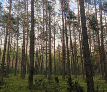 Lidzbark Welski Bed & Breakfast | Pensjonat Zakątek
