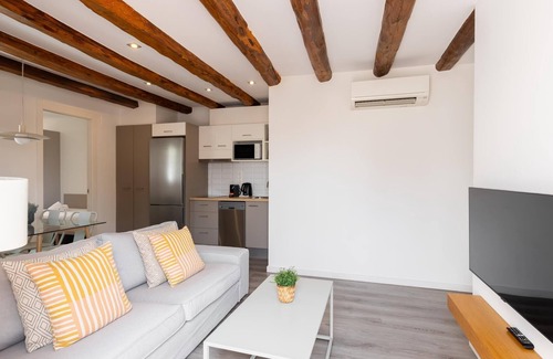 Hostafrancs Apartment | Penthouse Apartment with terrace