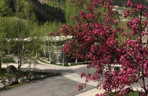 Aspen Condo | PENTHOUSE "CHATEAU ROARING FORK", AC, ALL DAY SUN, VIEWS-AVAILABLE FOOD-WINE
