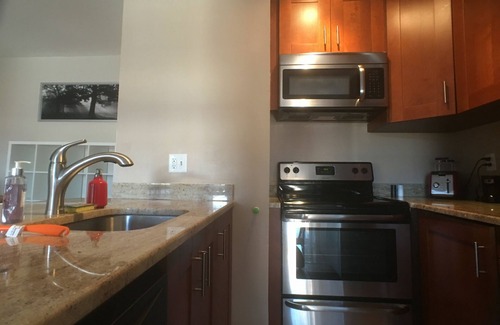 Mount Vernon Condo | Penthouse Condominium in Mount Vernon w/Fireplace, Paid Parking & Free Wifi