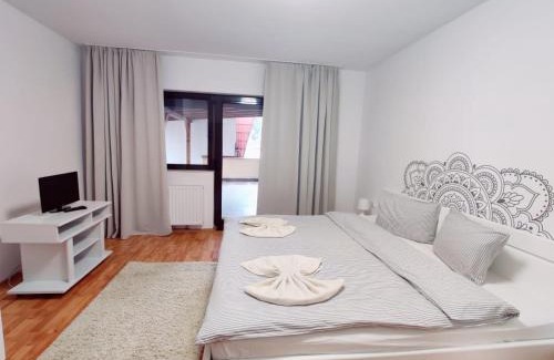 Tirgu Mures Apartment | Penthouse Daniela - 3 Rooms in a Spacious Central Apartment