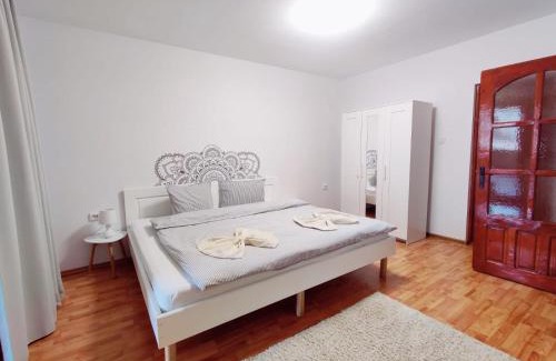 Tirgu Mures Apartment | Penthouse Daniela - 3 Rooms in a Spacious Central Apartment