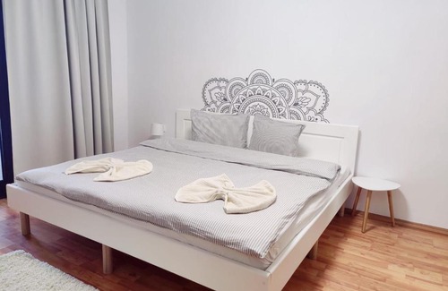 Tirgu Mures Apartment | Penthouse Daniela - 3 Rooms in a Spacious Central Apartment