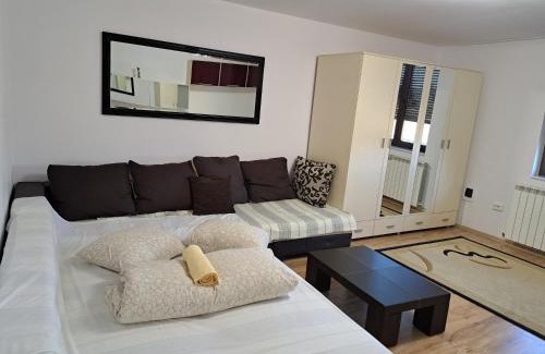 Tirgu Mures Apartment | Penthouse Daniela - 3 Rooms in a Spacious Central Apartment