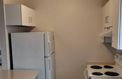 St. Louis Apartment | PENTHOUSE in the Delmar Loop area with amazing city views. Very family friendly.