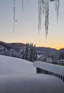 Reichenau Apartment | Penthouse Skyview im Natur-Erlebnispark Bad Kleinkirchheim