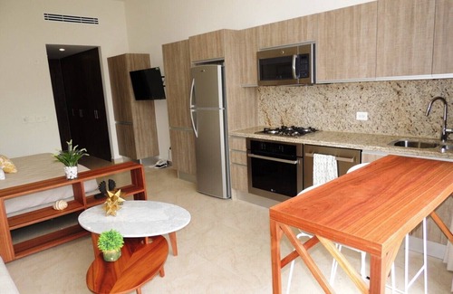 Emiliano Zapata Condo | Penthouse Studio in new building PACIFICA