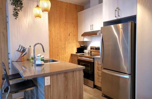 La Cite-Limoilou Apartment | Penthouse With FREE indoor Parking Downtown