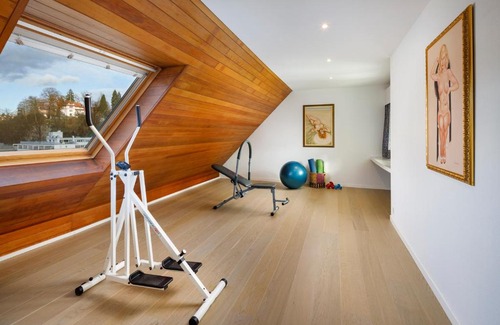 Lucerne Apartment | Penthouse zum Löwen
