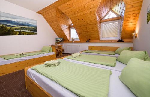 Spisska Stara Ves House | Penzión Antiqua Villa