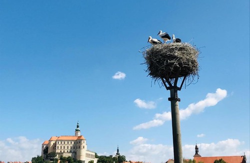Mikulov House | Penzion Čáp