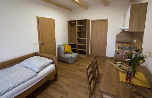 Boretice Apartment | Penzion a sklep 7 vinařů