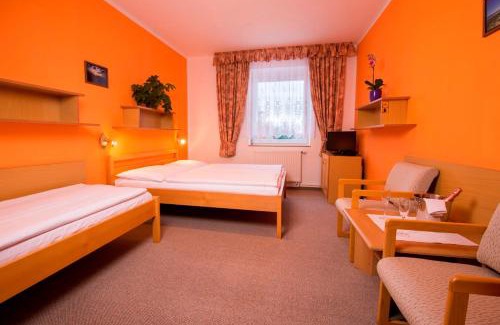 Lomnice nad Luznici House | Penzion Bohemia