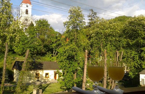 Sklene Teplice House | Penzion Centrum