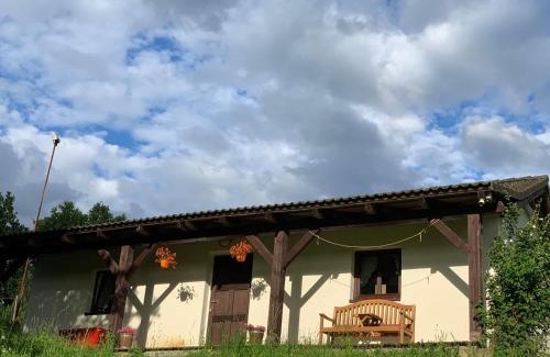 Jablonne v Podjestedi Apartment | Penzion Felden