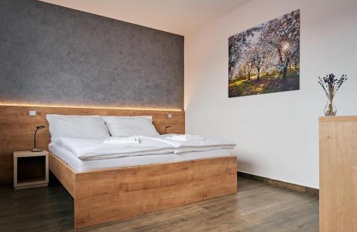 Stary Poddvorov House | Penzion Fialka