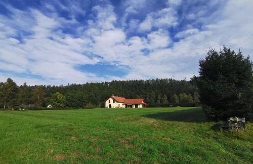 Ceske Budejovice 7 Apartment | Penzion Hastrman