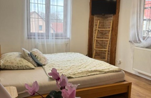 Plzen House | Penzion Hrádecký Dvůr